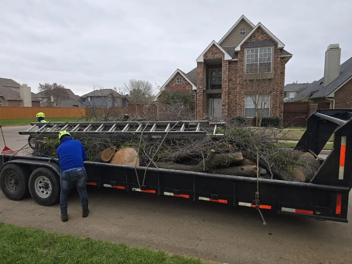 Expert Lot Clearing with proper safety equipment in Hoffman